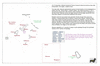 bee25 mangareva_thumb.gif